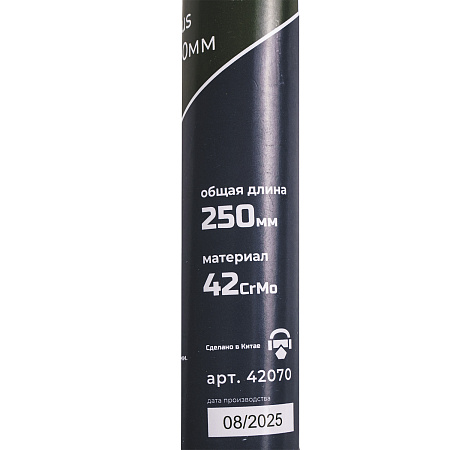 Пика SDS plus SHYLD 250мм(42070)